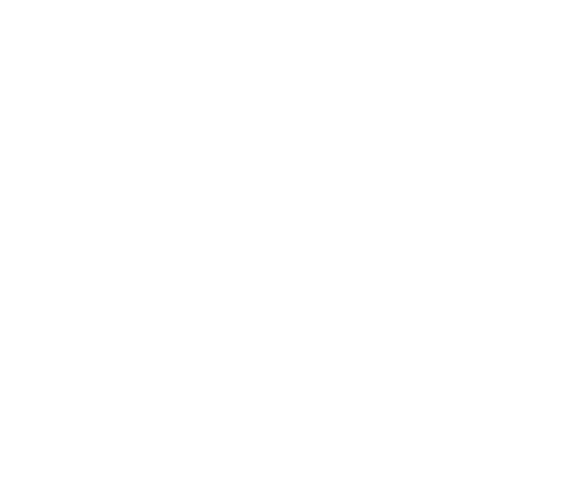 Fan Shop